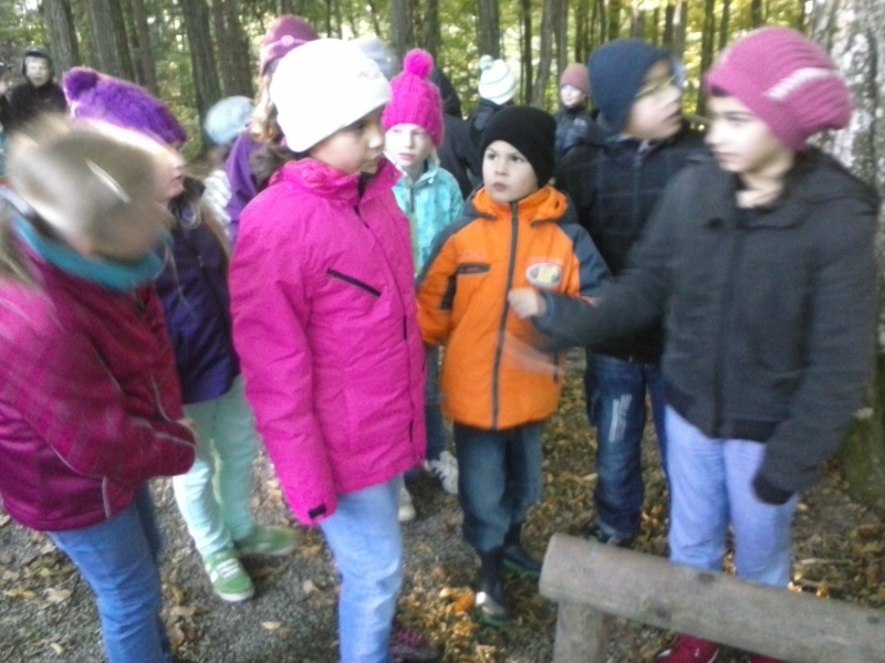 Waldpädagogik