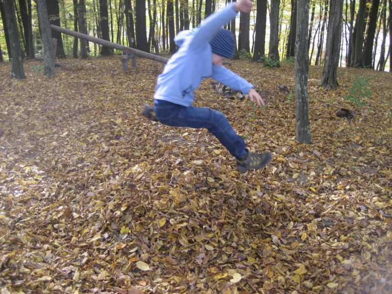 Waldpädagogik