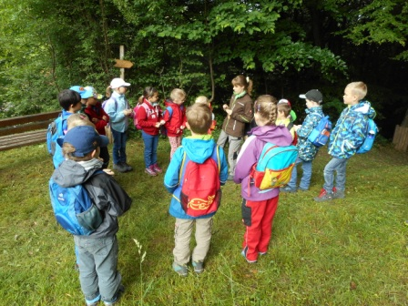 Waldtage 1a und 1b