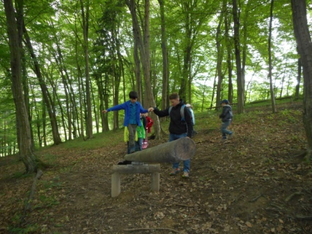 Waldtage 1a und 1b