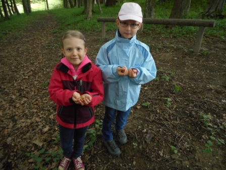 Waldtage 1a und 1b