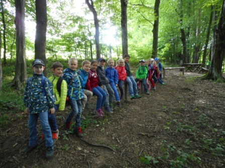 Waldtage 1a und 1b