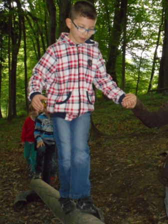 Waldtage 1a und 1b