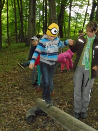 Waldtage 1a und 1b