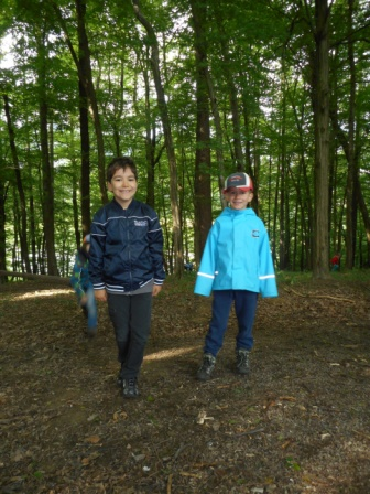 Waldtage 1a und 1b