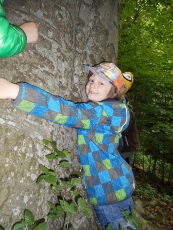 Waldtage 1a und 1b