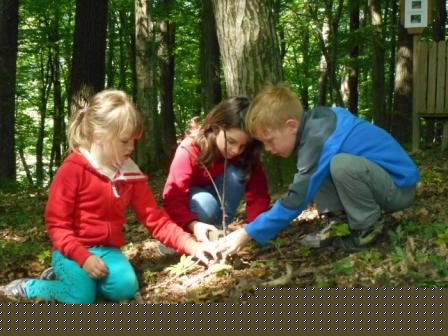 Waldtage 1a und 1b