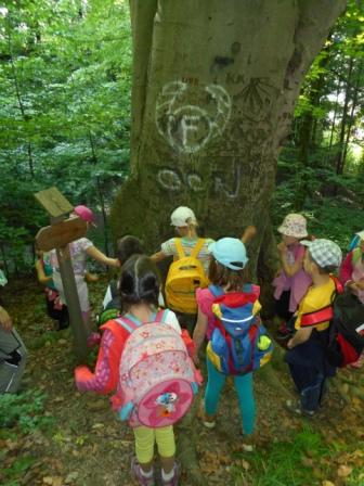 Waldtage 1a und 1b