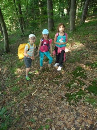 Waldtage 1a und 1b