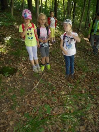 Waldtage 1a und 1b
