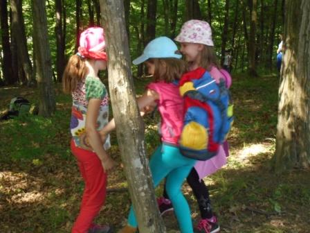 Waldtage 1a und 1b