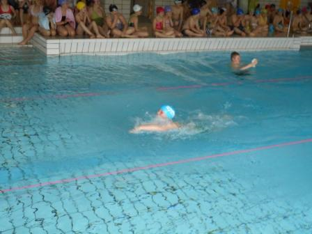 Schwimmwettbewerb