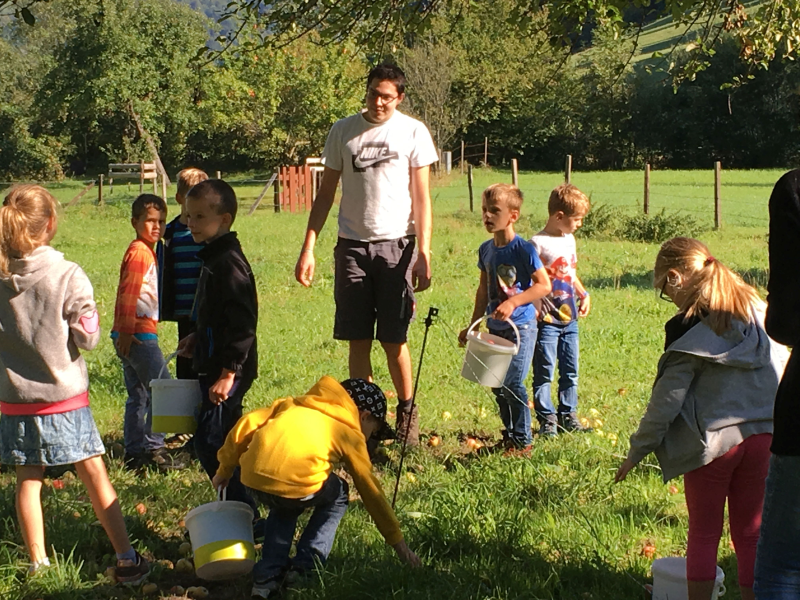 Ein Herbsttag auf dem Bauernhof 2a/b