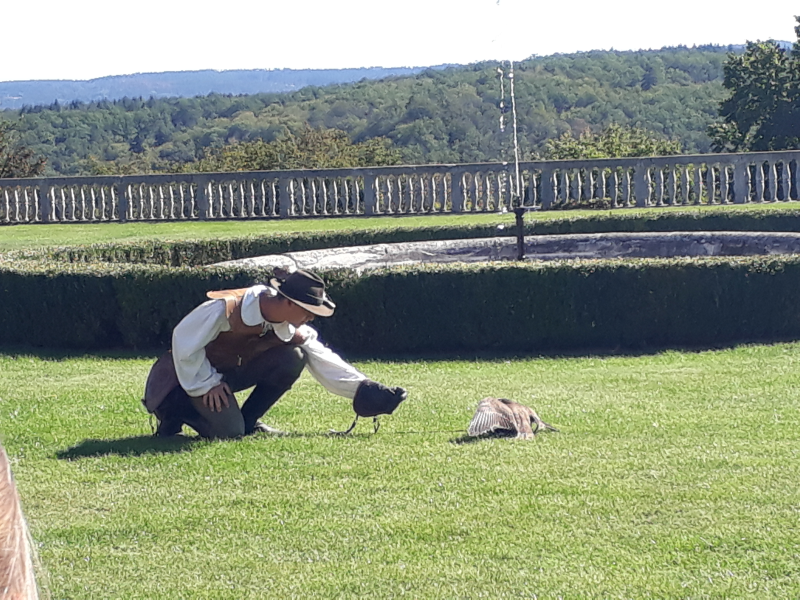 1.Projekttag der 4. Klassen - Besuch auf der Rosenburg