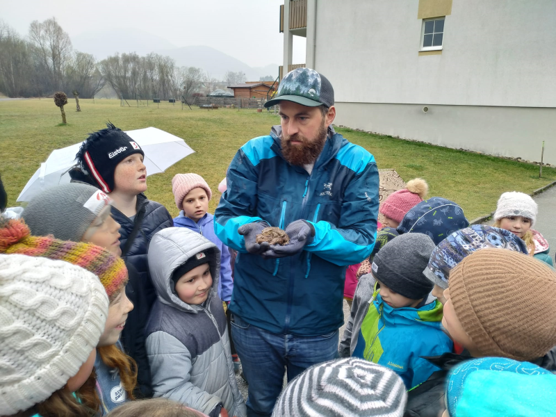 Krötenwanderung