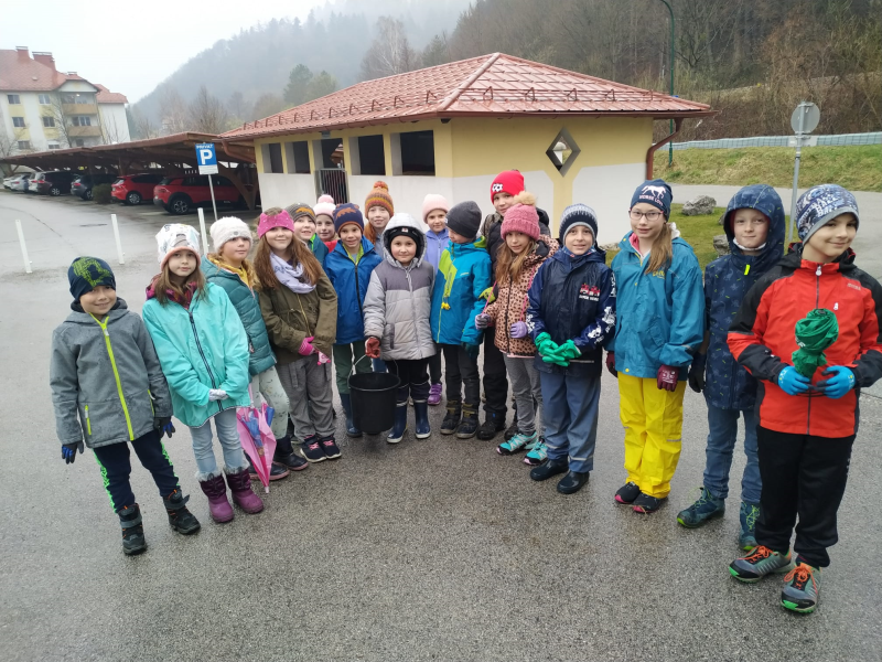 Krötenwanderung