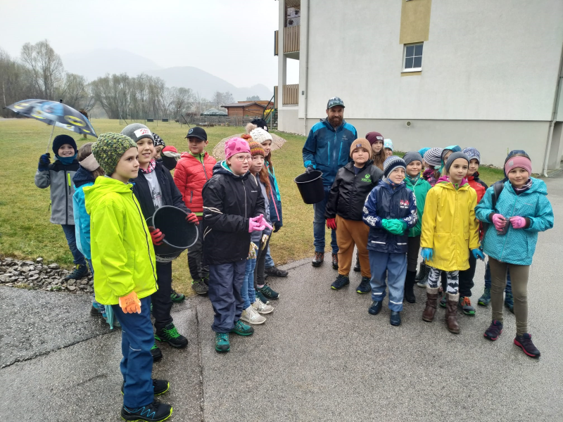 Krötenwanderung