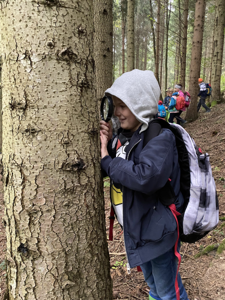 Waldtag der 1 Klassen