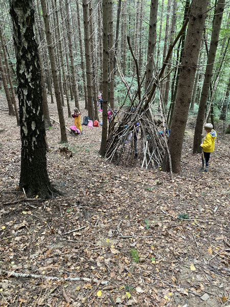 Waldtag der 1 Klassen