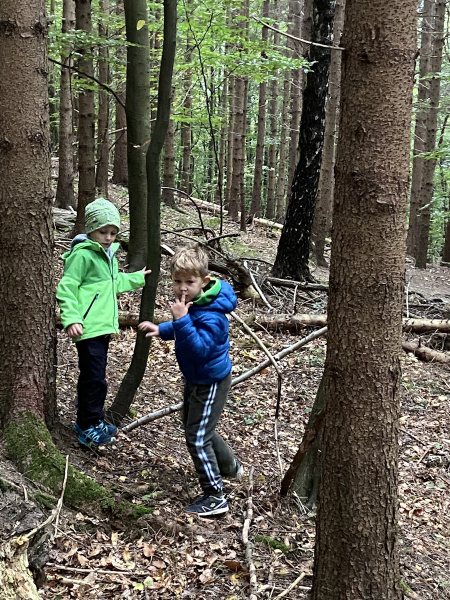 Waldtag der 1 Klassen
