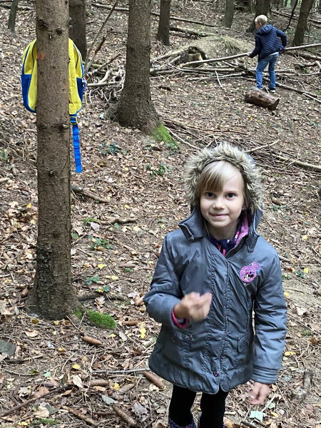 Waldtag der 1 Klassen