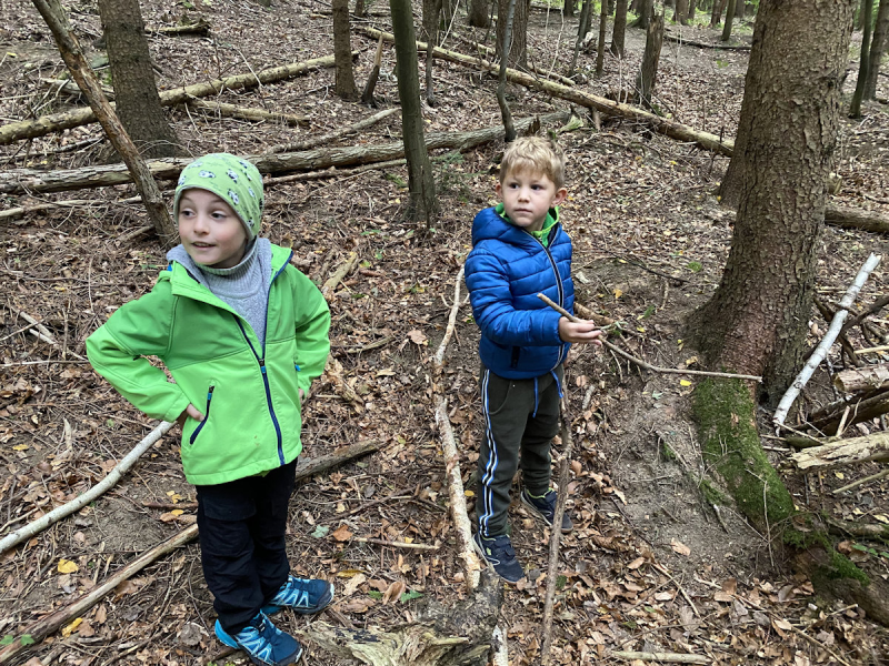 Waldtag der 1 Klassen
