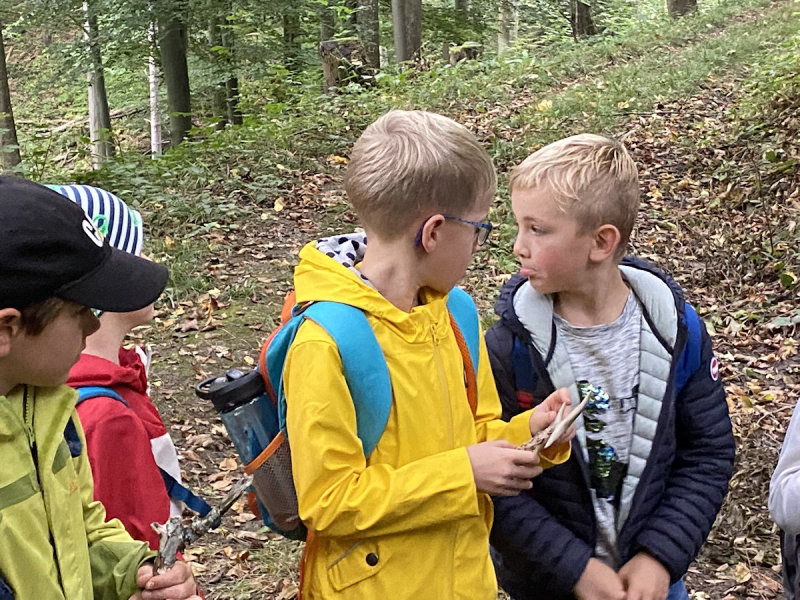 Waldtag der 1 Klassen