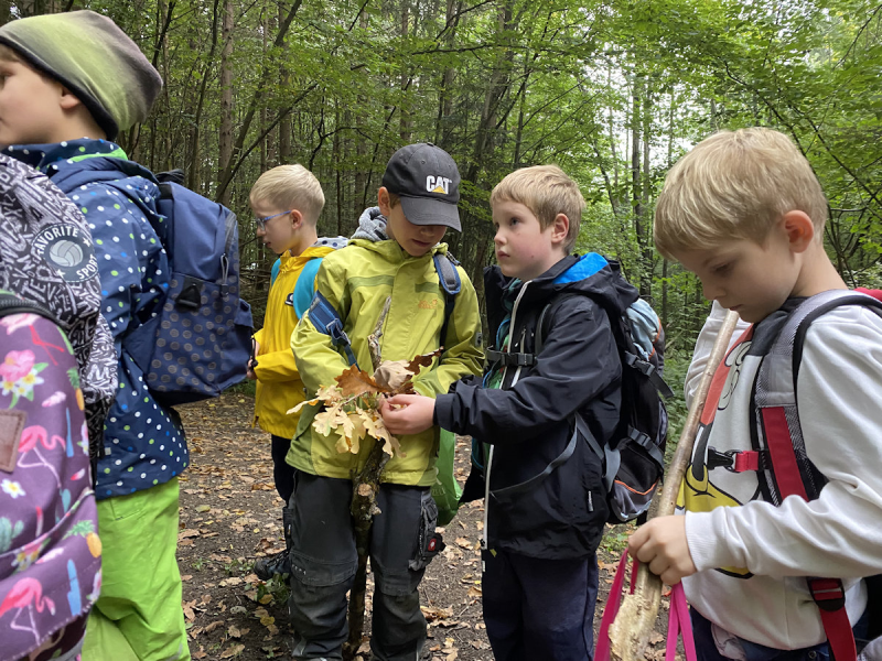 Waldtag der 1 Klassen