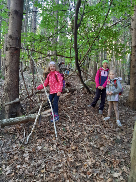 Waldtag der 1 Klassen