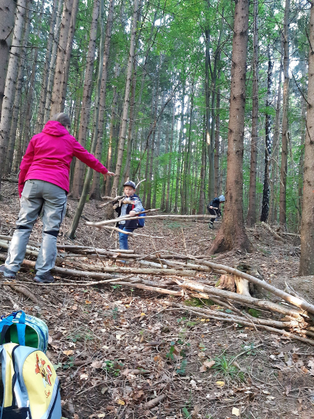 Waldtag der 1 Klassen