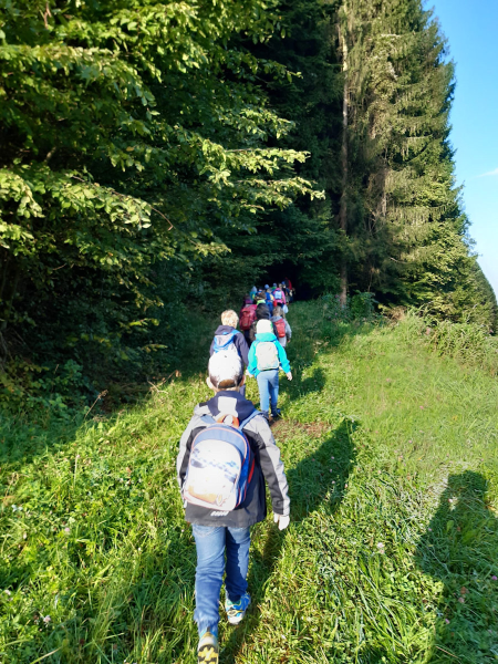 Waldtag der 1 Klassen