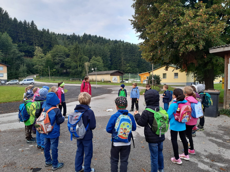Waldtag der 1 Klassen