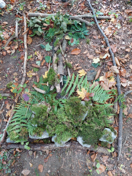 Wissenwertes über den Wald
