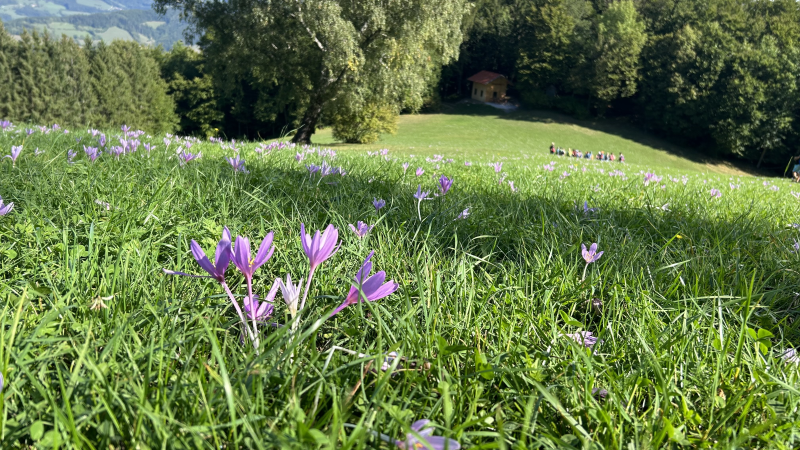 Wandertag 3a/3b