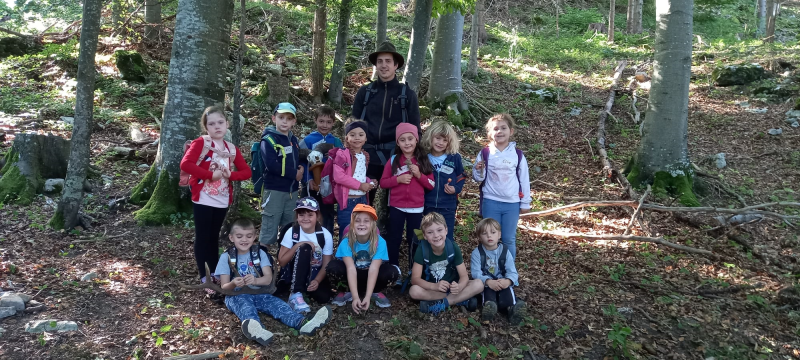 WALDTAG der Vorschulklasse 🌲🌳🌲