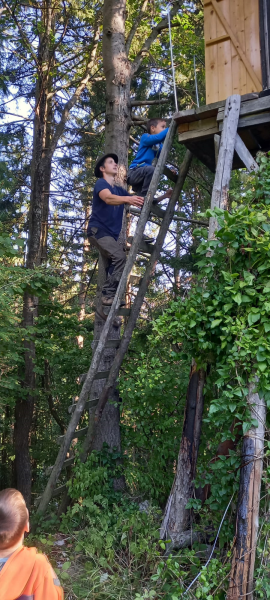WALDTAG der Vorschulklasse 🌲🌳🌲