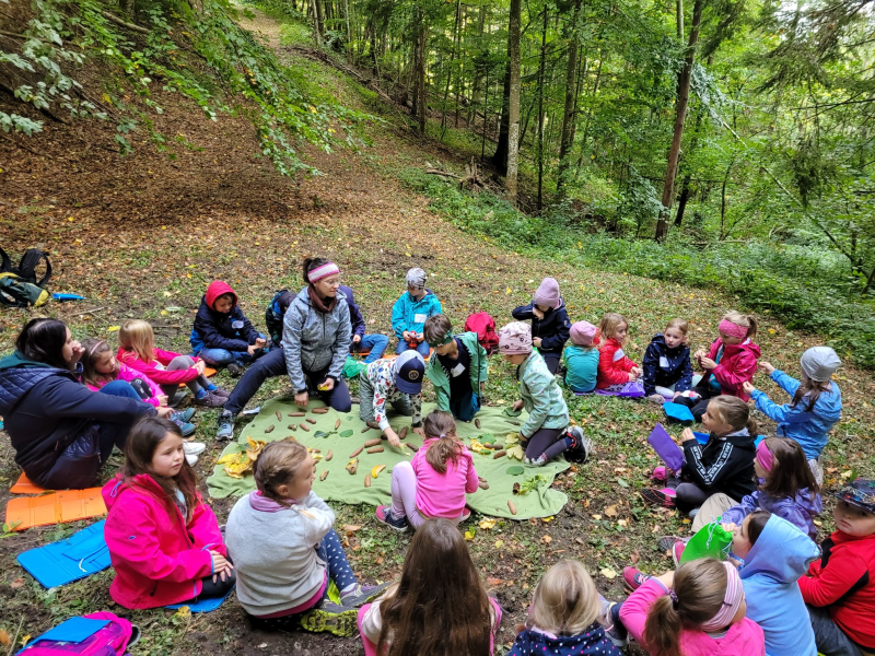 Waldtag 1.Klassen