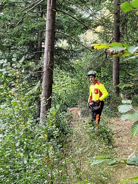 Waldtag 1.Klassen