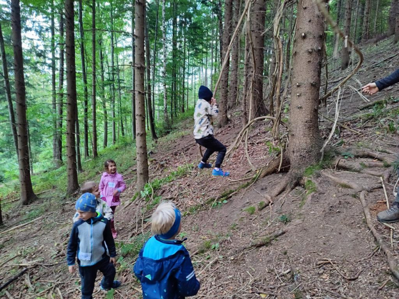Waldtag 1.Klassen