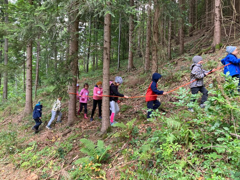 Waldtag 1.Klassen