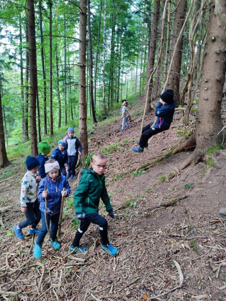 Waldtag 1.Klassen