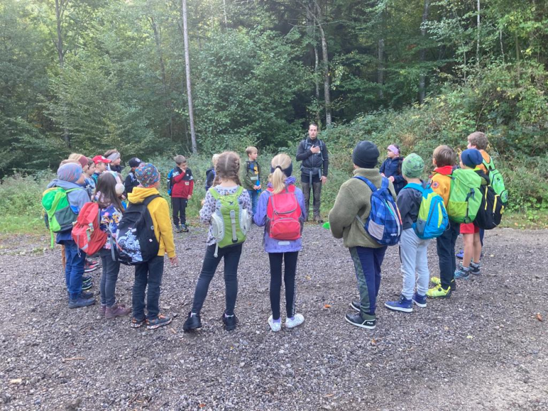 Waldtag 2. Klassen