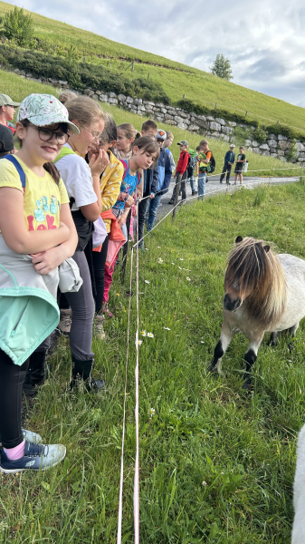 Wandertag 3. Klassen - Kukubauerhütte