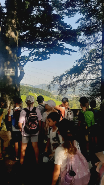 WANDERUNG auf den Staff