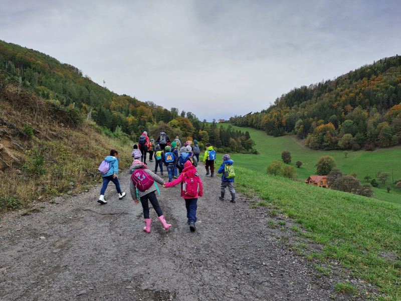 Waldtag der VSKL im Pfenningbach