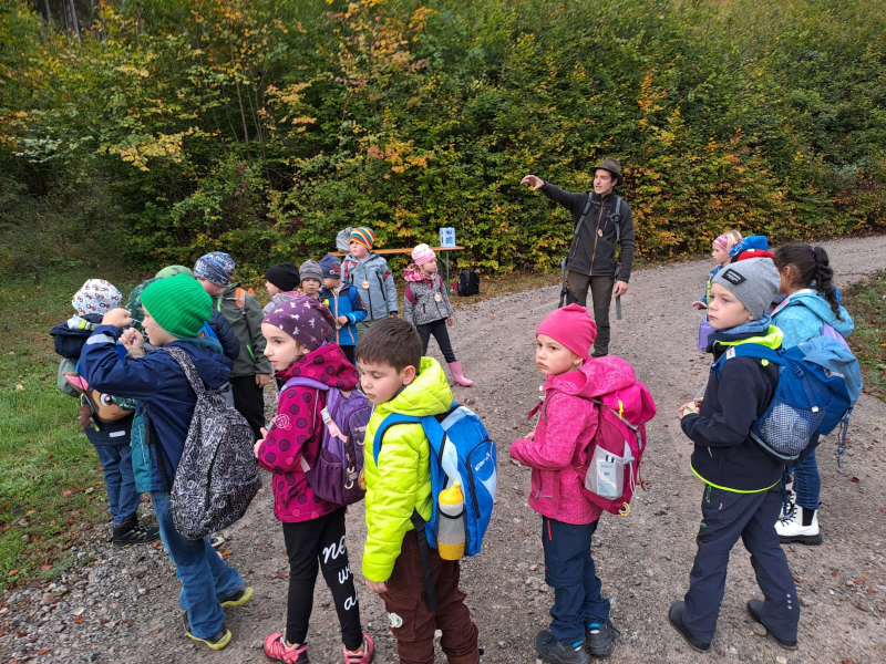 Waldtag der VSKL im Pfenningbach