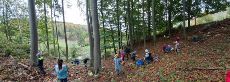 Waldtag der VSKL im Pfenningbach