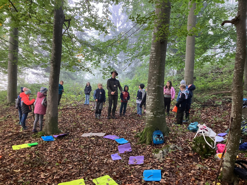 Waldtag der 2.Klassen