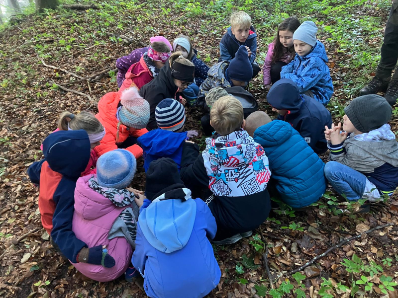 Waldtag der 2.Klassen