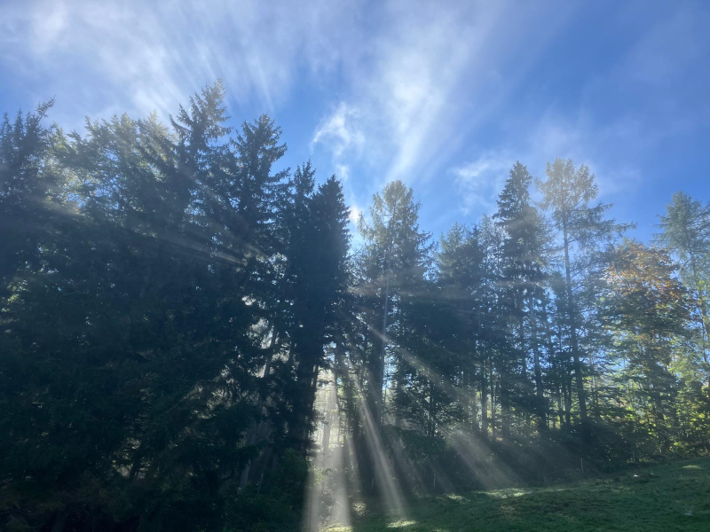 Waldtag der 2.Klassen